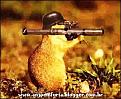 Click image for larger version

Name:	hamster bazooka.jpg
Views:	300
Size:	14.5 KB
ID:	9063229