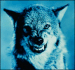 Tiberius's Avatar