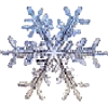 Snowflake's Avatar