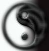 yin26's Avatar