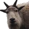 Thoth's Avatar
