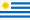This is Manya's Country Flag