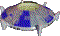 Agent Sox's Avatar