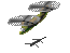 UnityScoutChopper's Avatar
