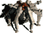 Yoleus's Avatar