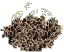 protobob's Avatar