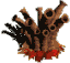 lunger75's Avatar