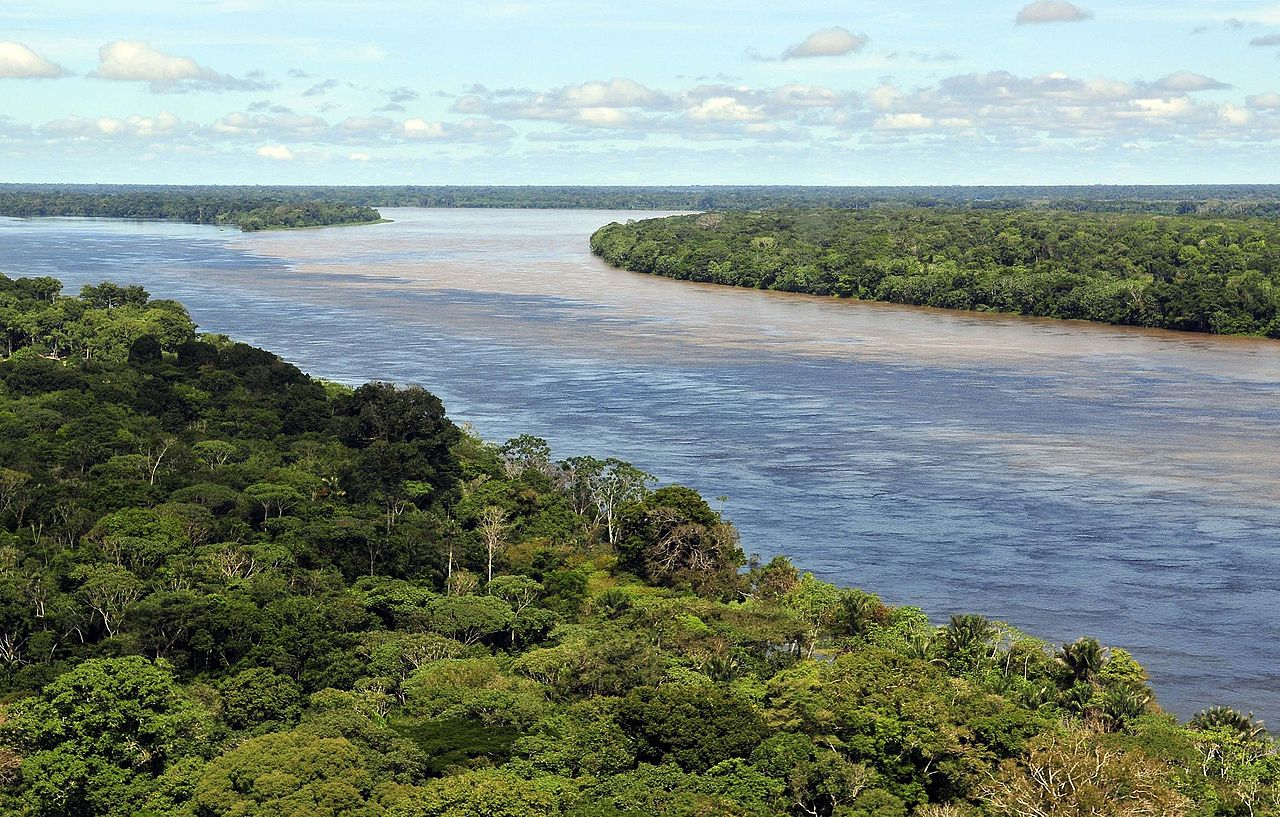 Click image for larger version

Name:	Amazonas-river.jpg
Views:	167
Size:	1.28 MB
ID:	9375148