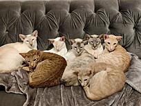 Click image for larger version

Name:	IMG-f33a8baa68a58dadb0db122dfd6d7d5a-V.jpg
Views:	94
Size:	411.2 KB
ID:	9445804
