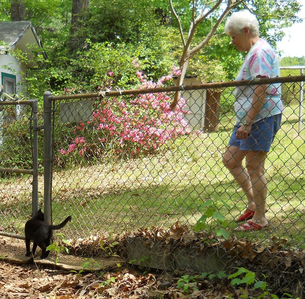 Click image for larger version

Name:	WantsPetting-WantsToPet.JPG
Views:	54
Size:	406.9 KB
ID:	9446002