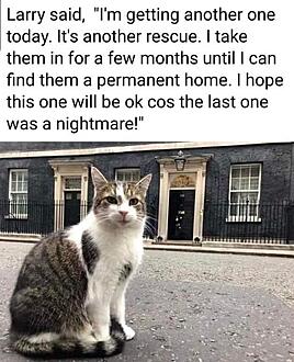 Click image for larger version

Name:	larry.jpg
Views:	74
Size:	84.7 KB
ID:	9446131