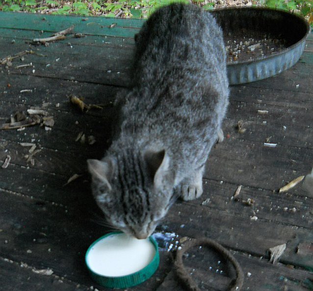 Click image for larger version

Name:	CloudsHeavyDrinking.JPG
Views:	48
Size:	85.1 KB
ID:	9448904