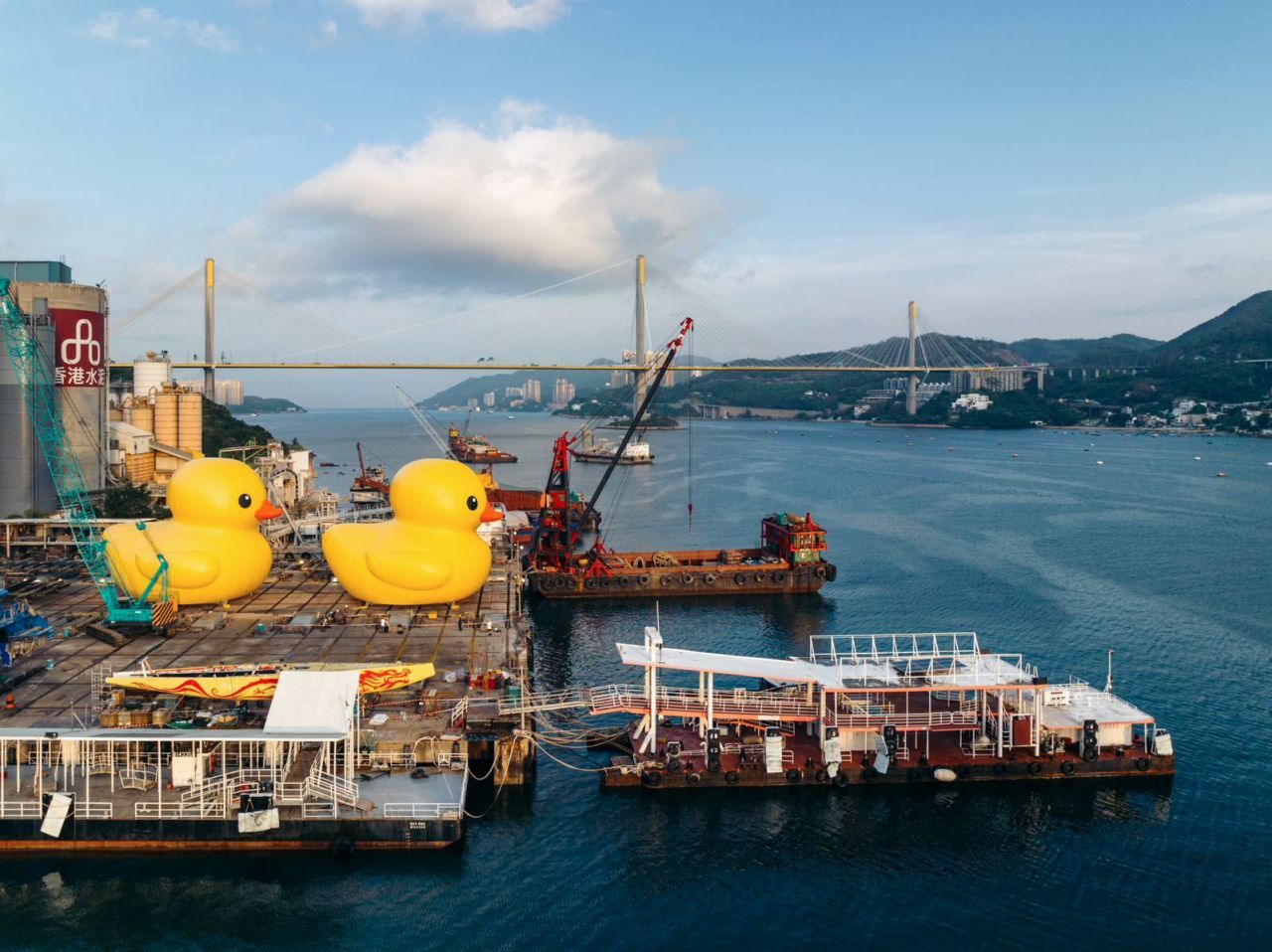 Click image for larger version

Name:	230526123015-03-rubber-duck-hong-kong-2023.jpg?c=original&amp;q=w_1280,c_fill.jpg
Views:	68
Size:	176.8 KB
ID:	9458624