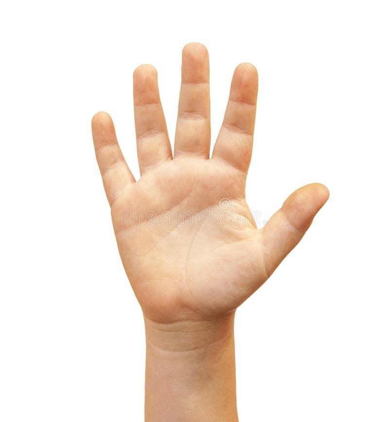 Click image for larger version

Name:	human-raised-hand-open-palm-isolated-white-background-human-hand-open-palm-isolated-white-194516844.jpg
Views:	54
Size:	33.3 KB
ID:	9471689
