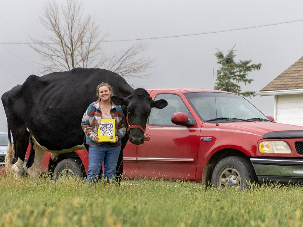 Click image for larger version

Name:	Beef-steer1-copy.jpg
Views:	48
Size:	128.9 KB
ID:	9485634