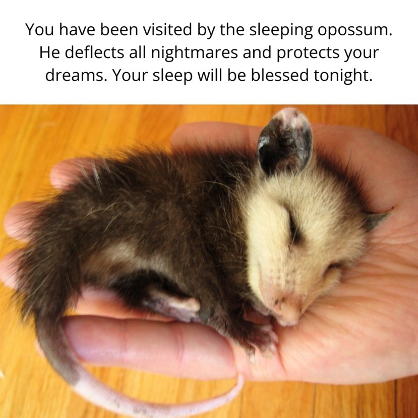 Click image for larger version

Name:	image_proxy.jpg
Views:	21
Size:	149.9 KB
ID:	9488557