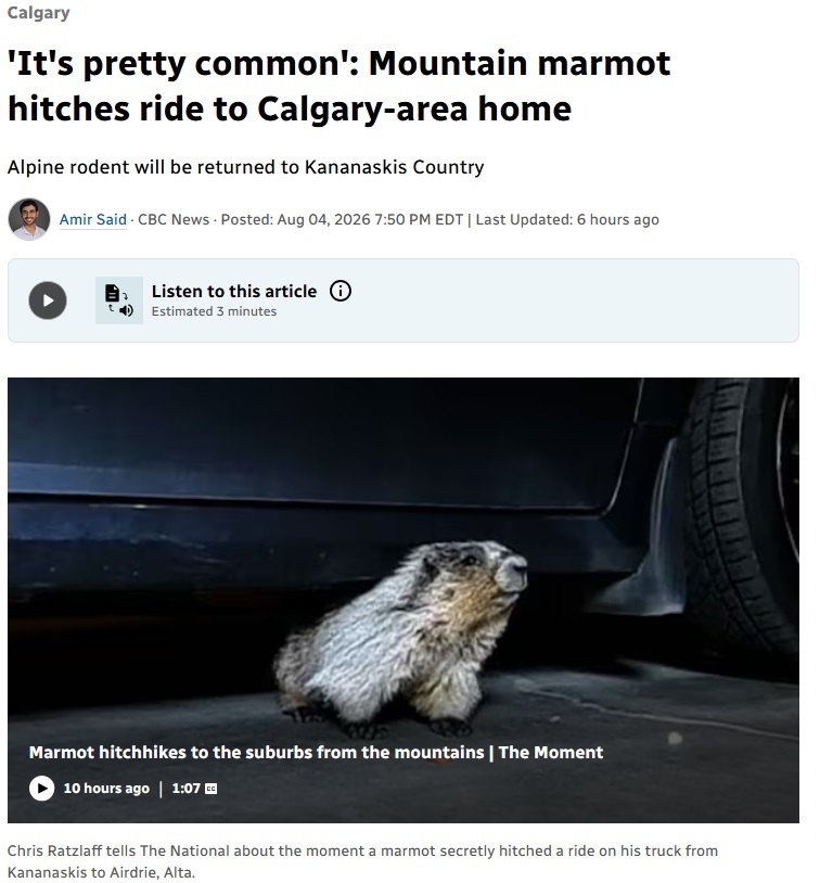 Click image for larger version

Name:	marmothitch.jpg
Views:	44
Size:	117.9 KB
ID:	9490637