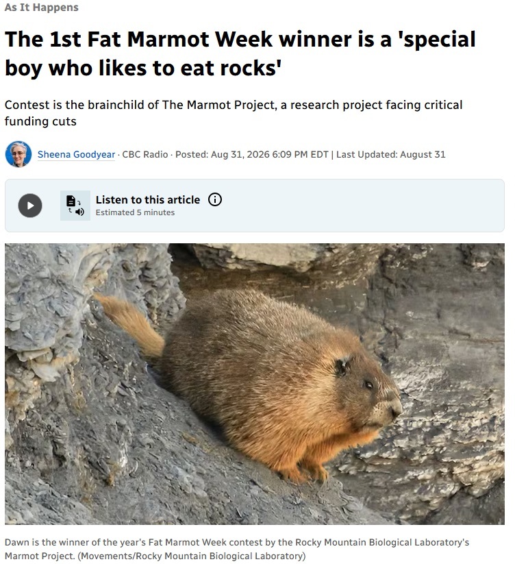 Click image for larger version

Name:	marmotdawn.jpg
Views:	53
Size:	206.6 KB
ID:	9491608