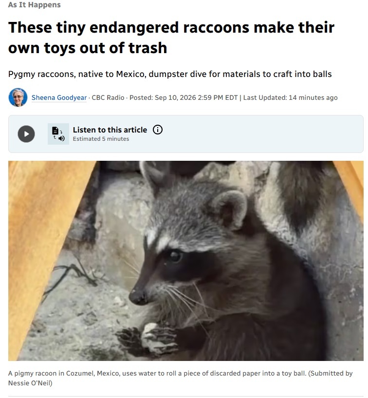 Click image for larger version

Name:	tinycoon.jpg
Views:	19
Size:	132.1 KB
ID:	9491810