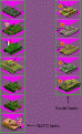 Click image for larger version

Name:	screenshot3.gif
Views:	299
Size:	12.8 KB
ID:	8854433