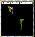 Click image for larger version

Name:	morphing nobles.bmp
Views:	149
Size:	106.7 KB
ID:	8855086
