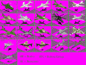 Click image for larger version

Name:	planes.gif
Views:	181
Size:	17.8 KB
ID:	8855229