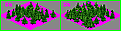 Click image for larger version

Name:	forest.gif
Views:	142
Size:	5.4 KB
ID:	8855624