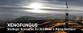 Click image for larger version

Name:	xeno80.jpg
Views:	156
Size:	24.6 KB
ID:	8856104