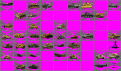 Click image for larger version

Name:	bloodandguts.gif
Views:	2203
Size:	44.5 KB
ID:	8856536