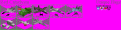 Click image for larger version

Name:	redcat.gif
Views:	1853
Size:	8.6 KB
ID:	8856539