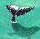 Click image for larger version

Name:	whales.jpg
Views:	1205
Size:	2.4 KB
ID:	8856836