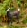 Click image for larger version

Name:	untitled-1.gif
Views:	2074
Size:	1.6 KB
ID:	8856840