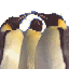 Click image for larger version

Name:	emperor2.gif
Views:	150
Size:	3.6 KB
ID:	8856979
