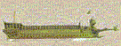 Click image for larger version

Name:	untitled1.gif
Views:	108
Size:	3.7 KB
ID:	8857606