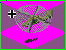 Click image for larger version

Name:	282.gif
Views:	1616
Size:	1.5 KB
ID:	8860447