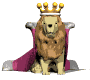 Click image for larger version

Name:	lion_king_look.gif
Views:	109
Size:	13.3 KB
ID:	8862244