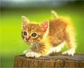 Click image for larger version

Name:	image1.jpg
Views:	124
Size:	43.1 KB
ID:	8862319