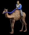 Click image for larger version

Name:	camel.jpg
Views:	269
Size:	20.6 KB
ID:	8862899