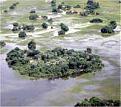 Click image for larger version

Name:	flood plain.jpg
Views:	1019
Size:	6.7 KB
ID:	8863330