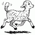 Click image for larger version

Name:	lamb.gif
Views:	261
Size:	2.2 KB
ID:	8864095