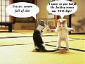 Click image for larger version

Name:	cats.jpg
Views:	134
Size:	49.5 KB
ID:	8864179