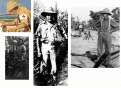 Click image for larger version

Name:	units.gif
Views:	392
Size:	133.7 KB
ID:	8864345