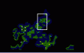 Click image for larger version

Name:	worldmap.gif
Views:	178
Size:	4.5 KB
ID:	8864464