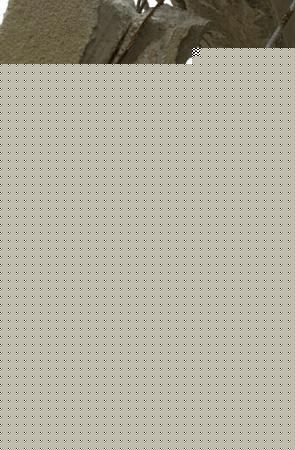 Click image for larger version

Name:	rubble &amp;amp; tank.jpg
Views:	182
Size:	25.0 KB
ID:	8864621