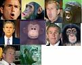 Click image for larger version

Name:	monkeybush1.jpeg
Views:	97
Size:	24.4 KB
ID:	8865233