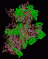 Click image for larger version

Name:	ribosome.gif
Views:	266
Size:	41.7 KB
ID:	8865503