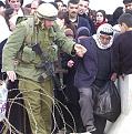 Click image for larger version

Name:	barbed wire.jpg
Views:	102
Size:	42.4 KB
ID:	8865680