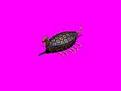 Click image for larger version

Name:	turtle.jpg
Views:	186
Size:	1.9 KB
ID:	8866030