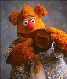 Click image for larger version

Name:	fozzie_s.jpg
Views:	188
Size:	1.7 KB
ID:	8870614