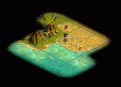 Click image for larger version

Name:	imagen_001.gif
Views:	156
Size:	34.6 KB
ID:	8870689